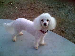 1409 S Spruce St, Montebello, CA 90640