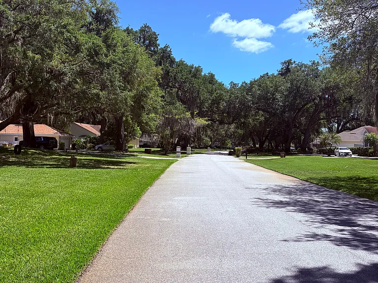 3165 Forest Breeze Way — Photo 5