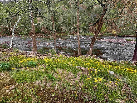 3rd image of 301 Elk River Rd