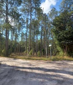 TBD SW CORNER SW95 AVE\SW 158 LN, Dunnellon, FL, 34432