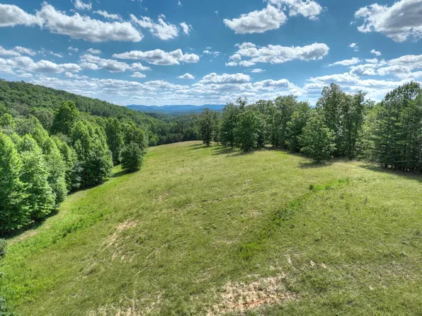 0 Big View Rd, Mineral Bluff, GA 30559