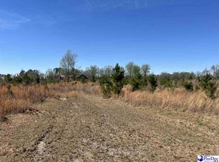 Attadale Rd, Blenheim, SC 29516