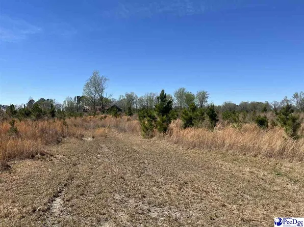 Attadale Rd, Blenheim, SC 29516