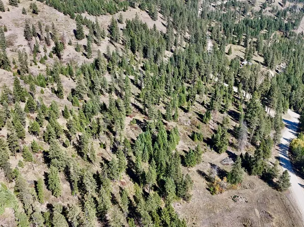 LOT 1 Deadman Creek Rd, Kettle Falls, WA 99141