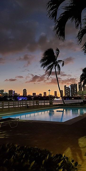 View from backyard