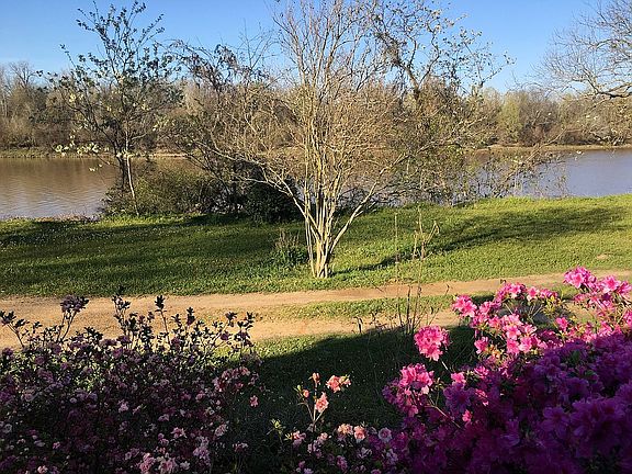 View from the front porch