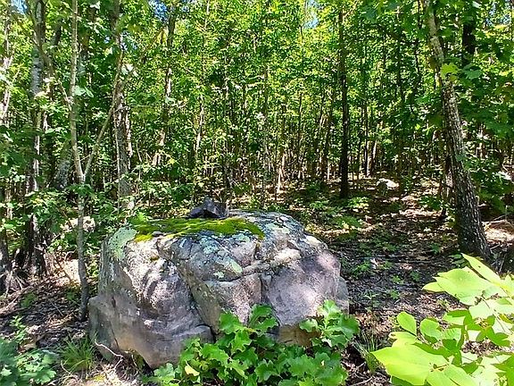 2nd image of 0 Easement