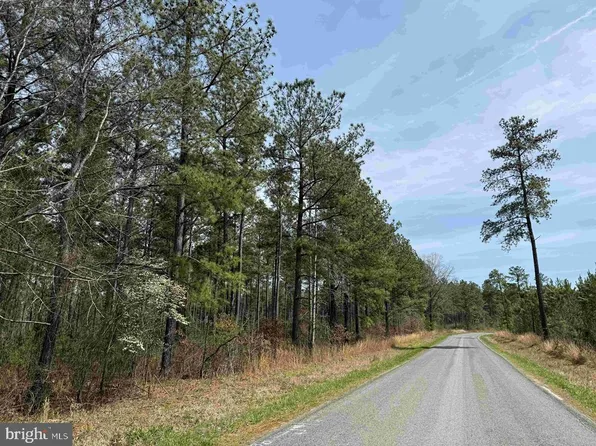 S Flint Hill Road Route 829 Tract Reynolds #A-2, Chatham, VA 24531