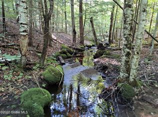 L13 Dippikill Rd, Warrensburg, NY 12885