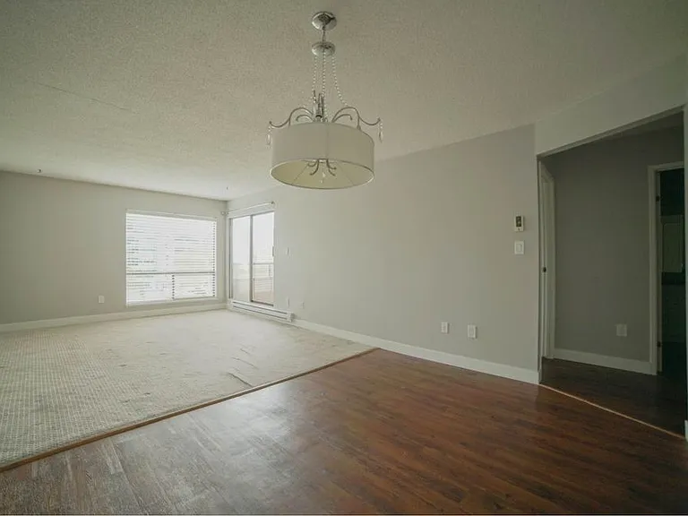 10221 133a St #318 — Photo 7