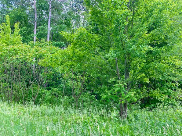 6538 Sanctuary Trl, Saugatuck, MI 49453