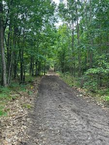 V/l Dexter Rd, Wellston, MI, 49689