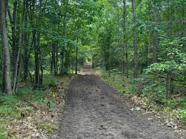 V/l Dexter Rd, Wellston, MI 49689