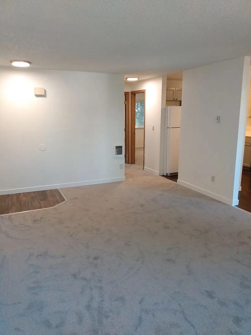 South Hill Apartments — Photo 4