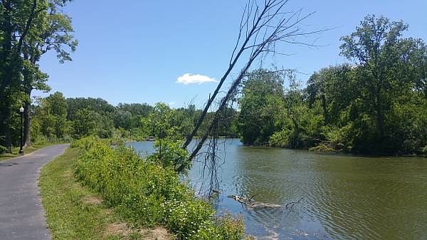 Very nice river runs along the property