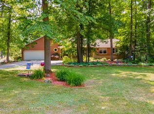 6371 Pleasant River Dr, Dimondale, MI 48821