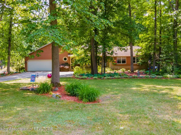 6371 Pleasant River Dr, Dimondale, MI 48821