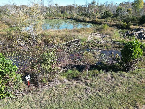 2nd image of TRACT 2 Overton Loop Lot 2