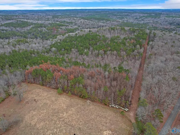 County Road 71, Moulton, AL 35650