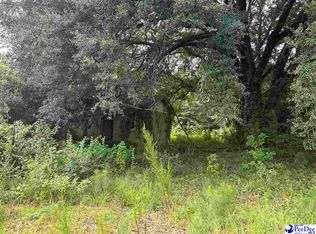 166 Wilbur Ct, Timmonsville, SC 29161