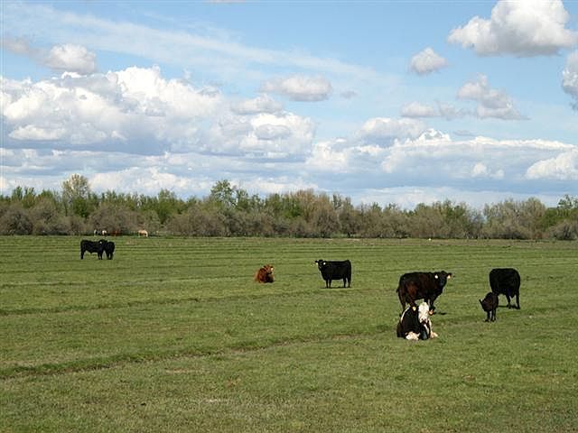 2nd image of 23498-2 Boise River Rd