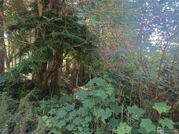 0 Lot 14 Teronda Drive, Coupeville, WA 98239