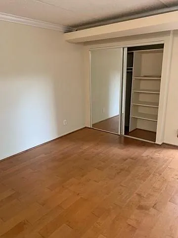 Studio, 496 sqft, $1,550 — Photo 2