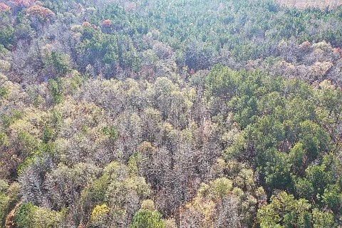 3rd image of 0 Clem Lowell Rd