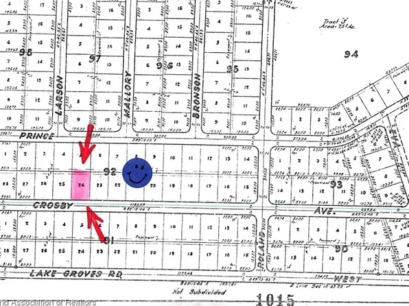 233 Crosby Ave NW, Lake Placid, FL 33852