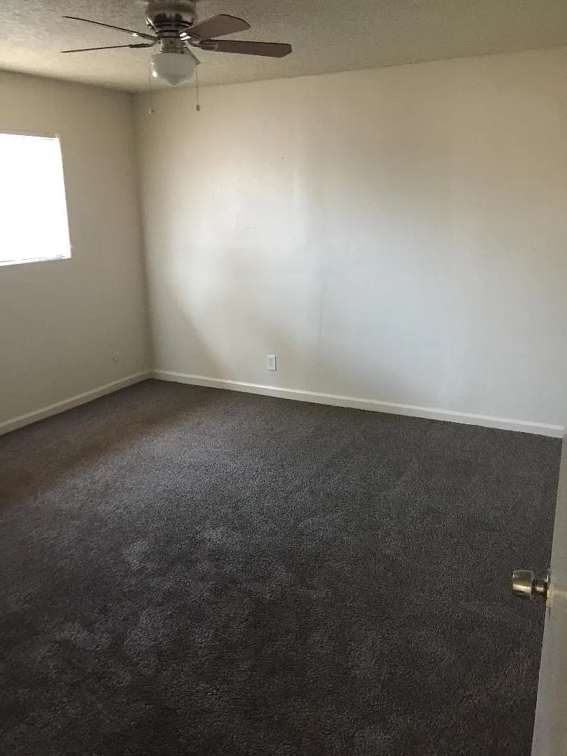 2 bed, 1000 sqft, $1,300 — Photo 3
