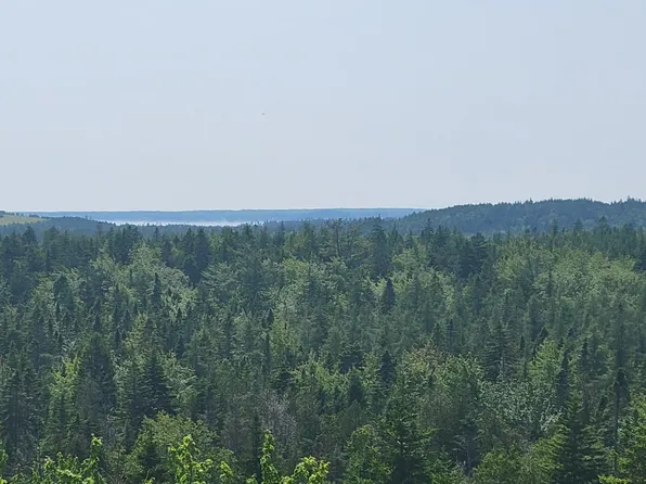 Lot 84 Duck Cove Road, Roque Bluffs, ME 04654