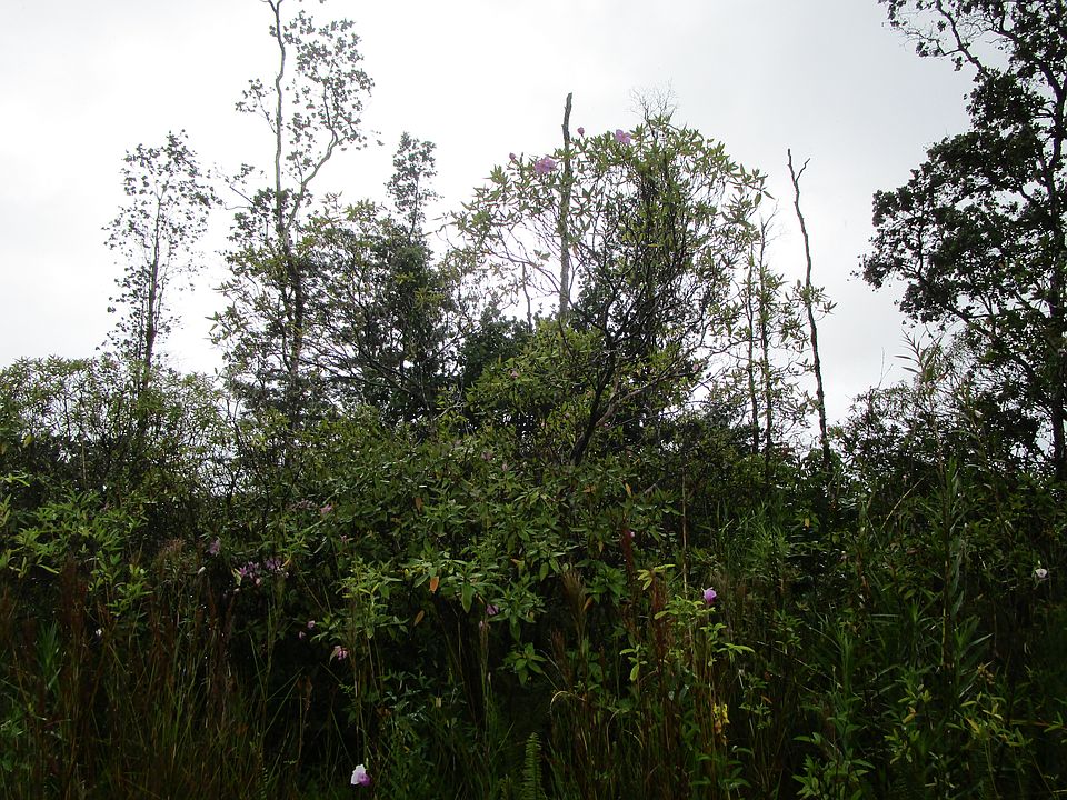 2nd image of 34th Ave Lot 14