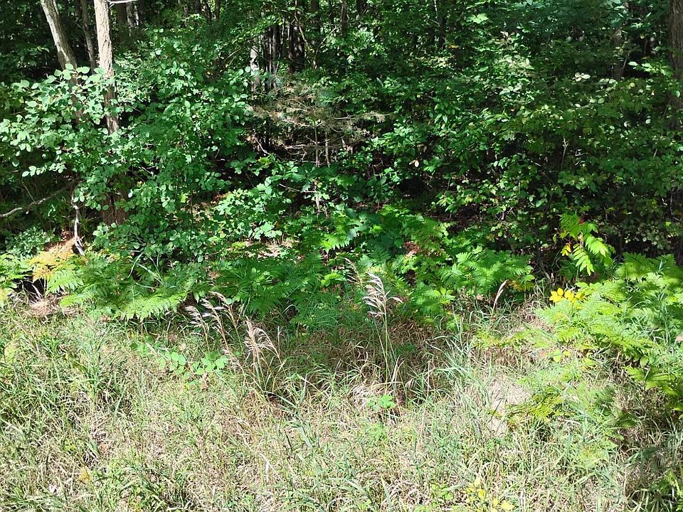 1st image of 55 Knapp Rd