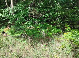 55 Knapp Rd, Houghton Lake, MI 48629