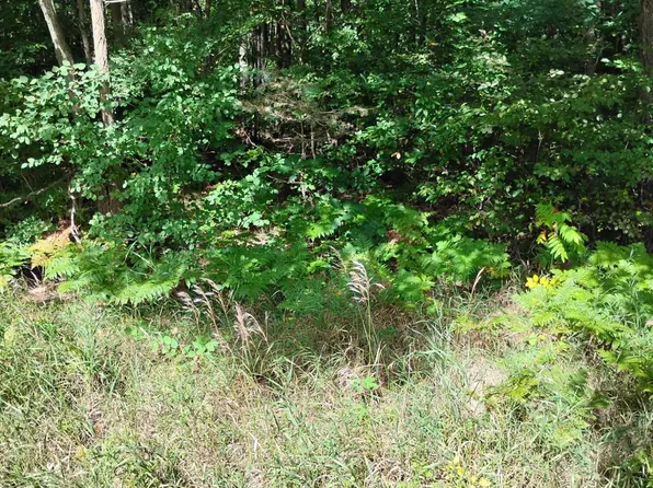55 Knapp Rd, Houghton Lake, MI 48629