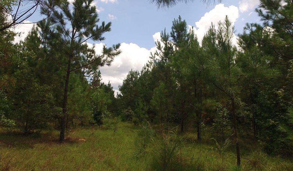 1st image of 0 Serpentine Dr