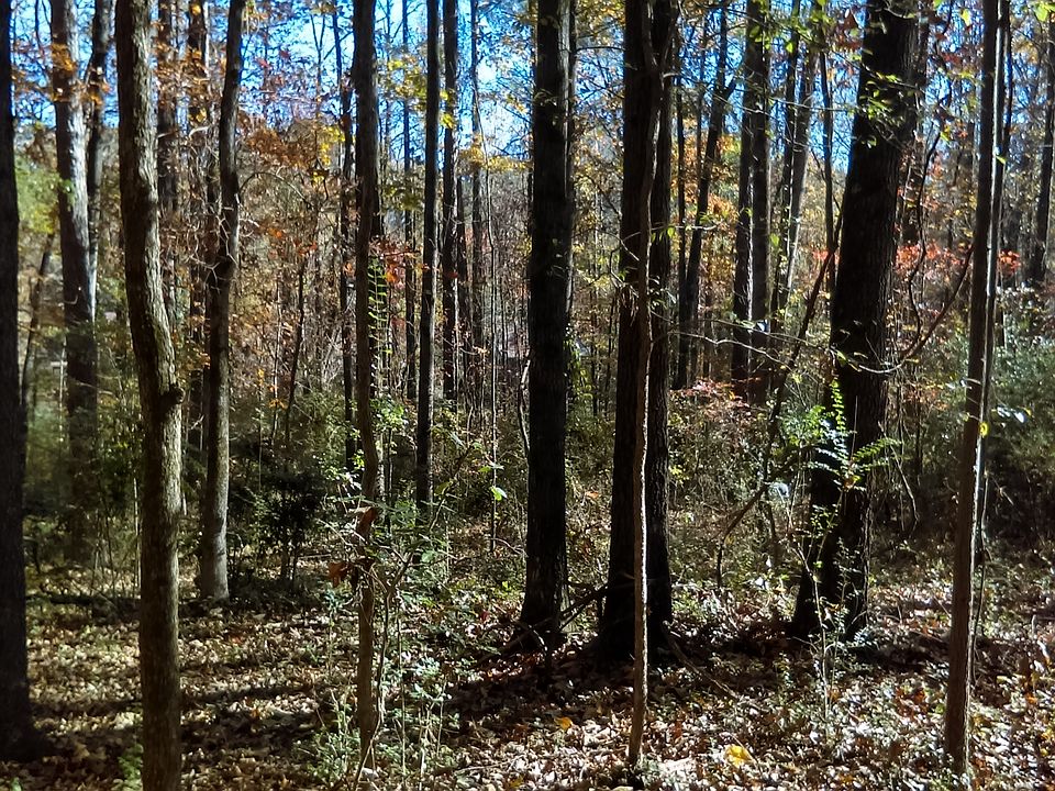 2nd image of 4622 Ruby Rd