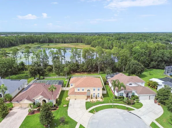 21511 Wilderness Lake Blvd, Land O Lakes, FL 34637