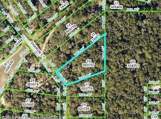 6238 Sharon Ct, Webster, FL 33597