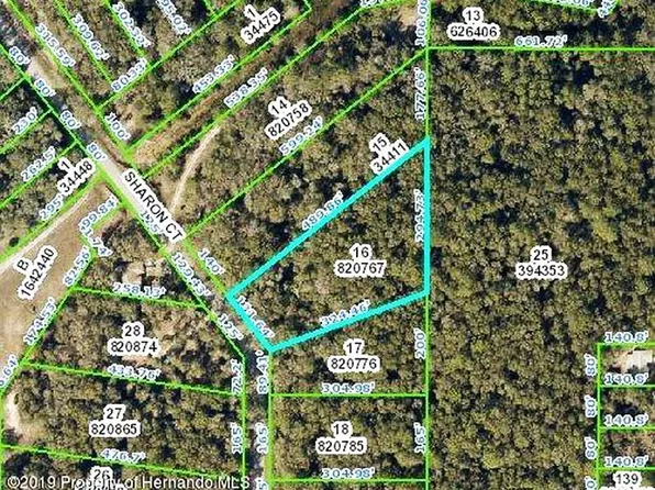Sharon Ct, Webster, FL 33597