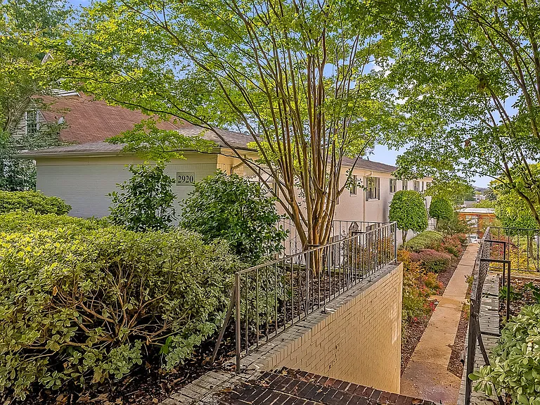 Carol Court — Photo 26