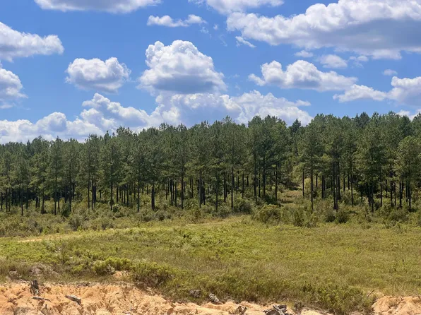 LOT 15 Frontier Bnd, Sumrall, MS 39482