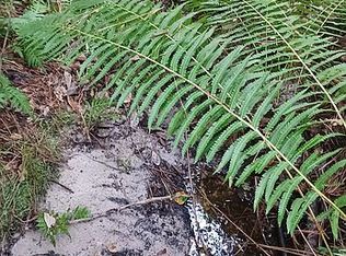 Aylesboro Ct, Brooksville, FL 34602