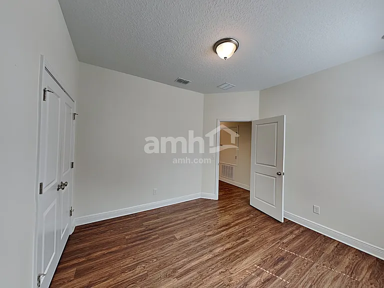1306 Celery Palm Cv — Photo 19