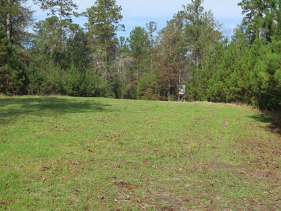 3rd image of County Highway 34 Lot Wp001