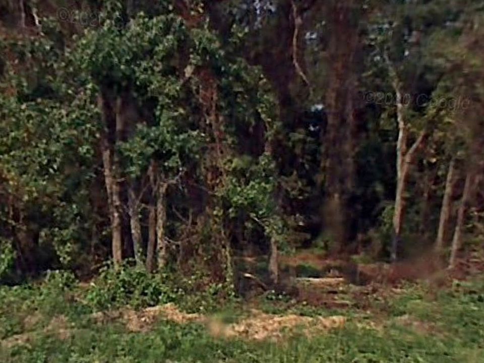 2nd image of 8733 Windsor Lake Blvd