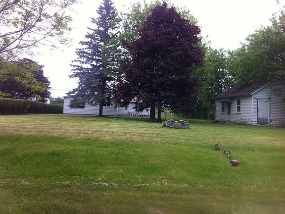 Nice back yard