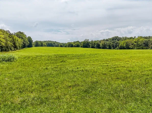 2245 Big Ivy Rd, Savannah, TN 38372