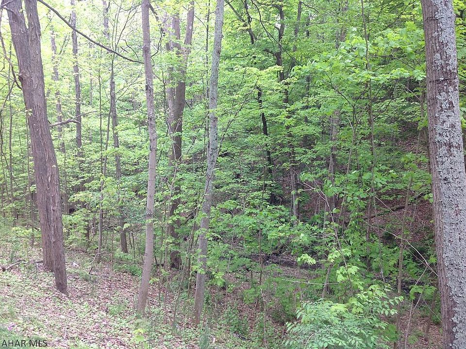2nd image of 545 Teaberry Rd