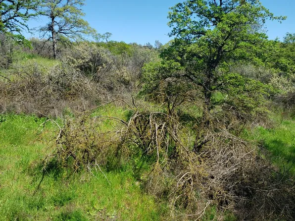 5217 Llanura Dr, La Grange, CA 95329